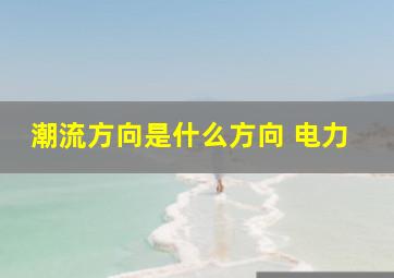 潮流方向是什么方向 电力